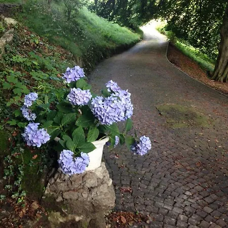 Antica Dimora I Faggi Di San Giorgio 3*