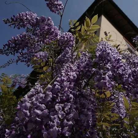 B&B Antica Dimora I Faggi Di San Giorgio 3*