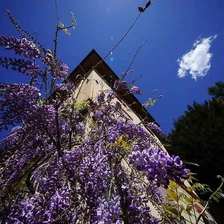 B&B Antica Dimora I Faggi Di San Giorgio 3*