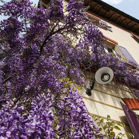 Antica Dimora I Faggi Di San Giorgio 3* 브루나테